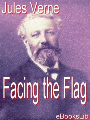 Facing the Flag - ebook